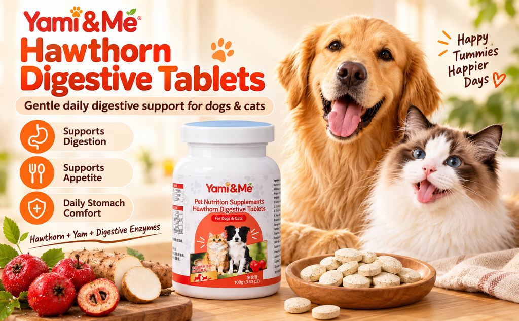 Digestive Support Tablets