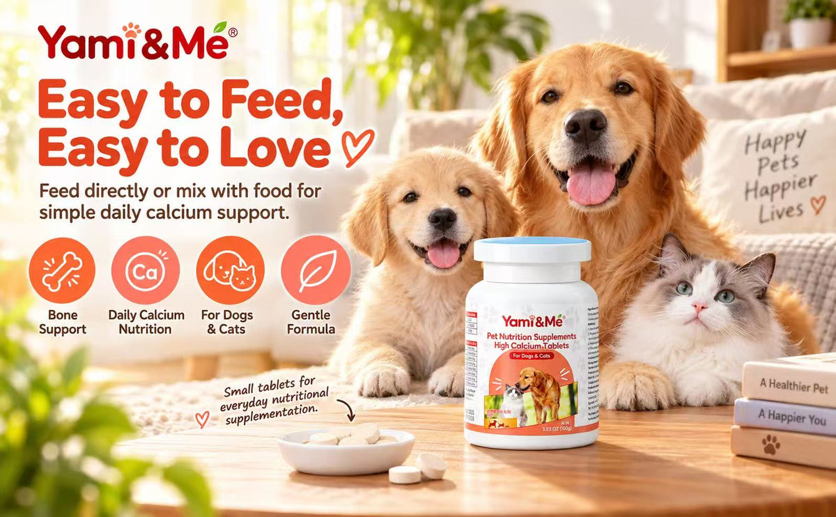 Digestive Support Tablets