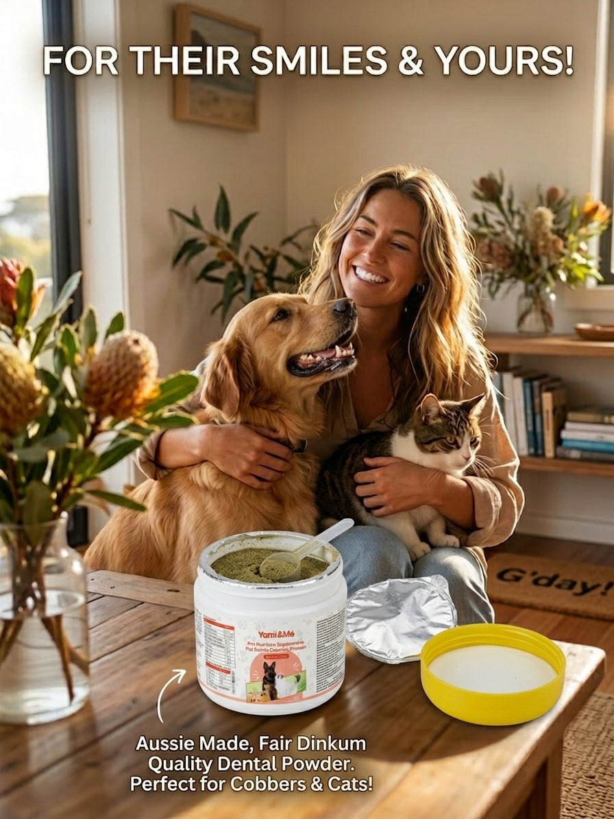 Dental Care Powder