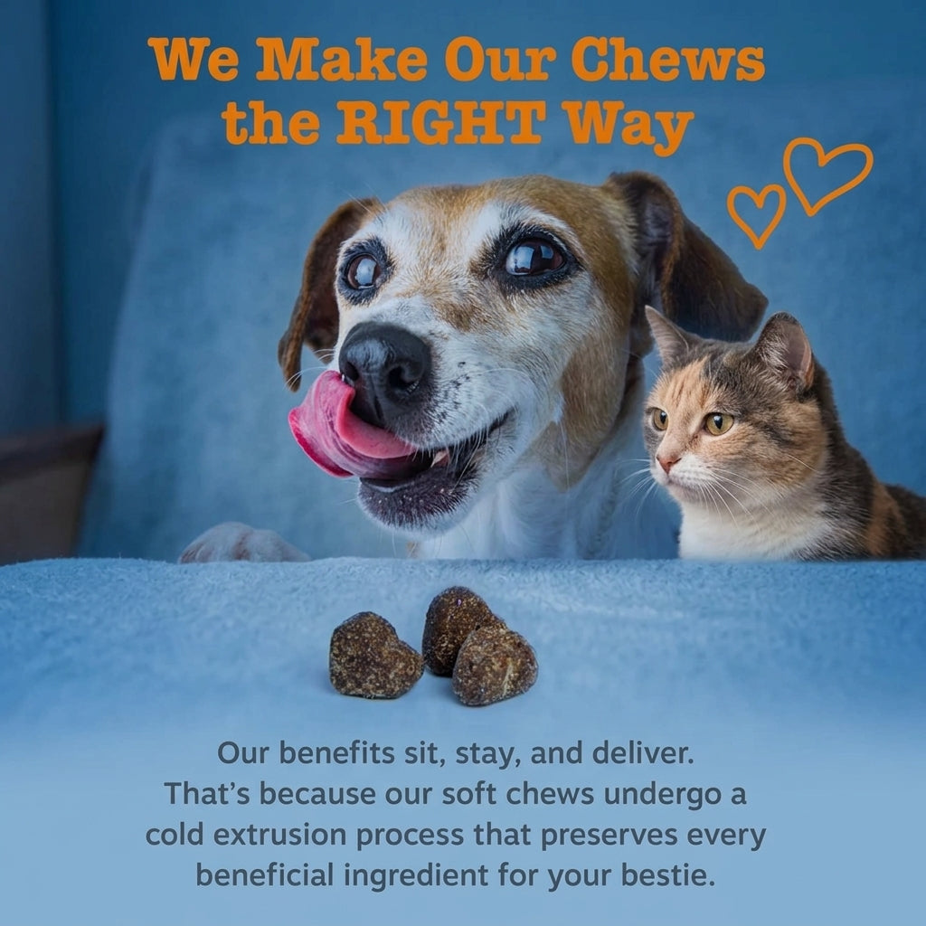 Yami&Me Pet Nutrition Blueberry Eye & Brain Soft Chews