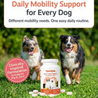 Yami&Me Pet Nutrition Supplements Hip & Joint Tablets