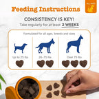 Yami&Me Pet Nutrition Blueberry Eye & Brain Soft Chews