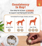 Yami&Me Pet Nutrition Supplements Hip & Joint Tablets