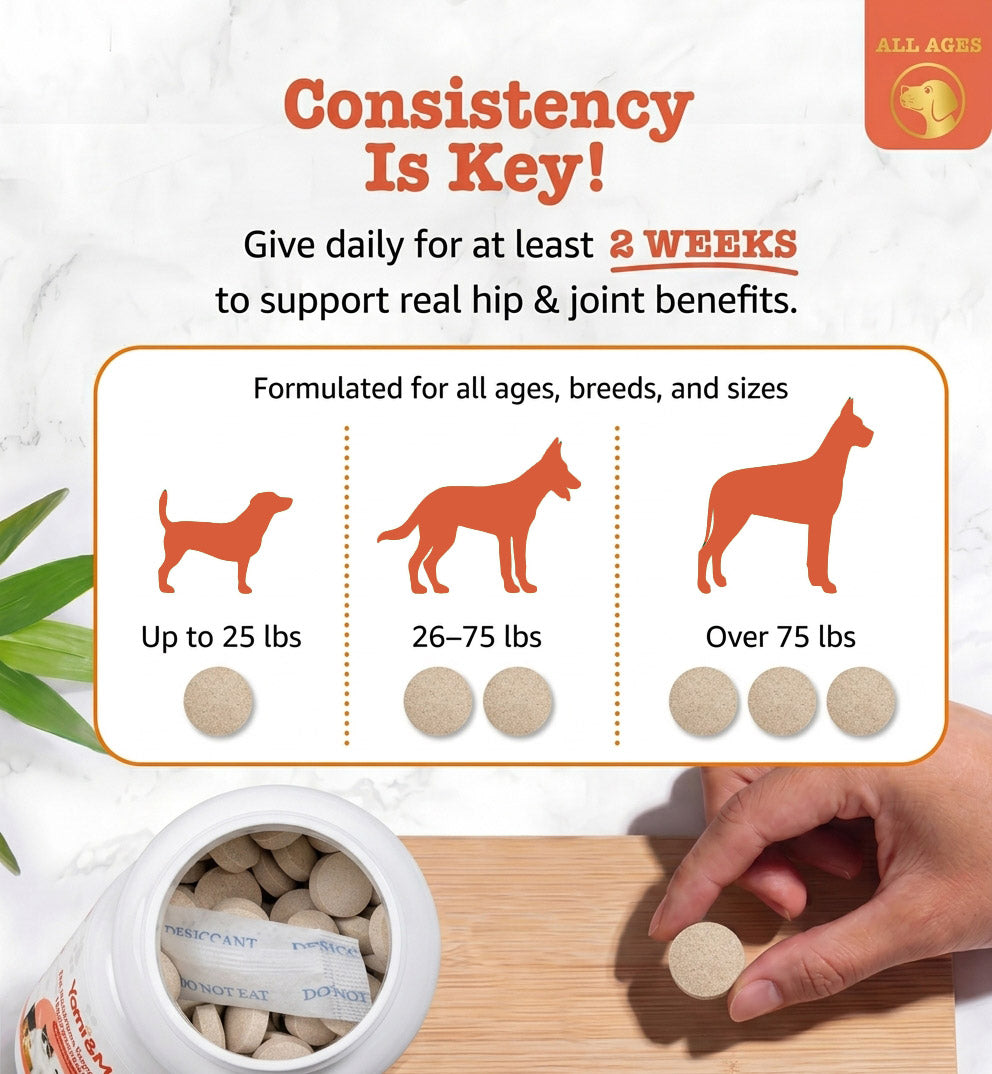 Yami&Me Pet Nutrition Supplements Hip & Joint Tablets