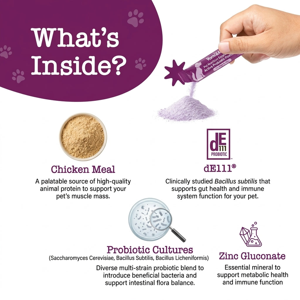 Daily Probiotic Powder