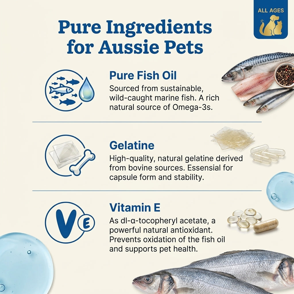 Omega-3 Fish Oil Softgels