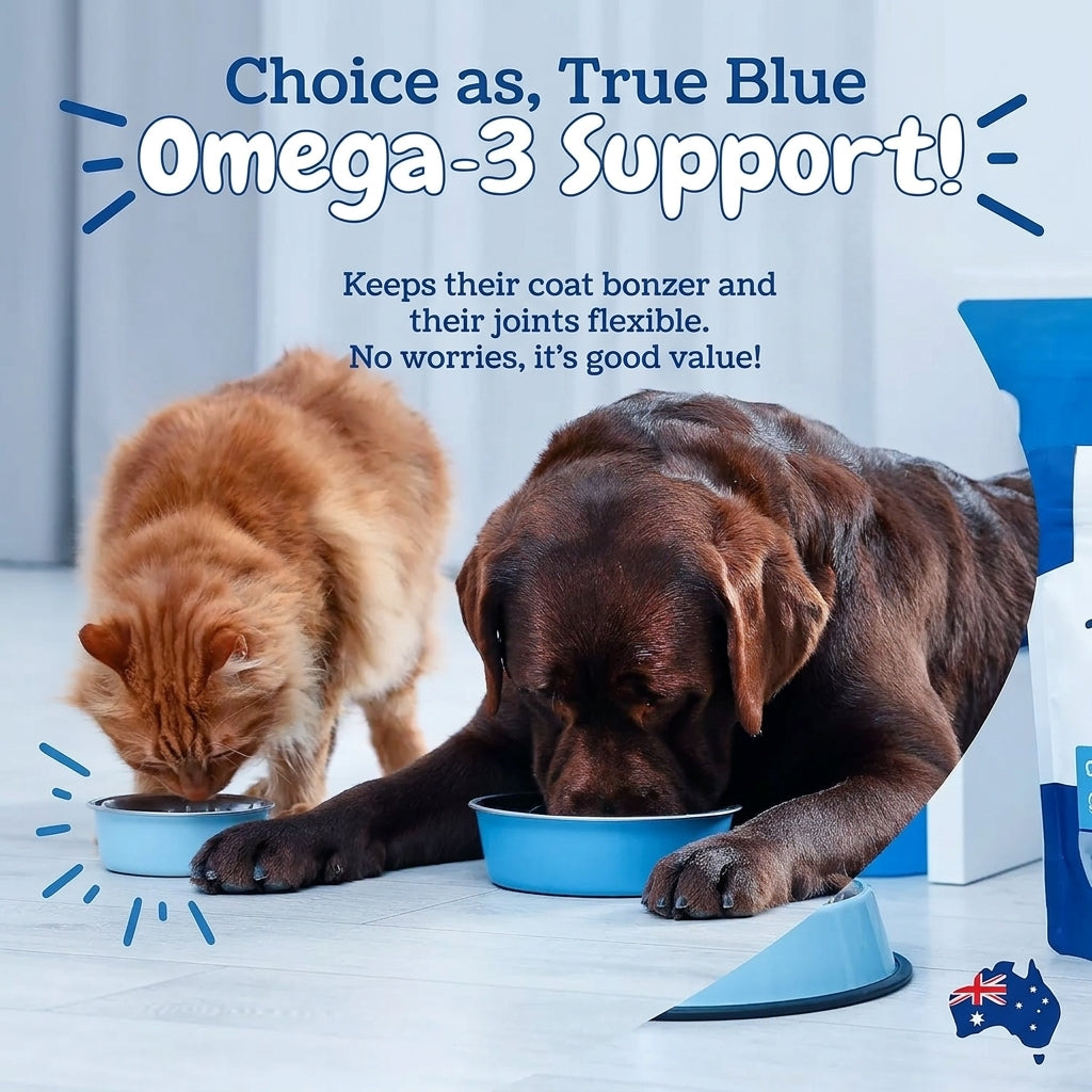 Omega-3 Fish Oil Softgels