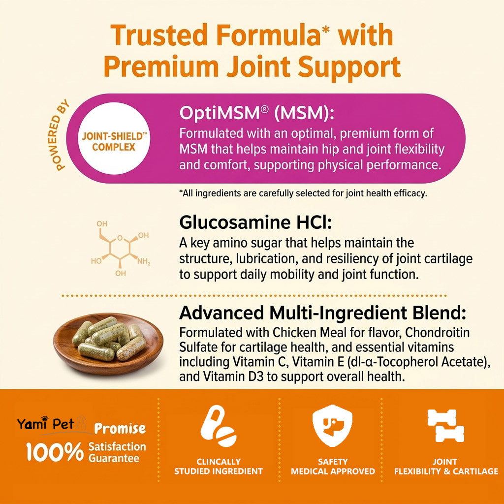 Yami&Me Pet Nutrition Supplements Hip & Joint Tablets